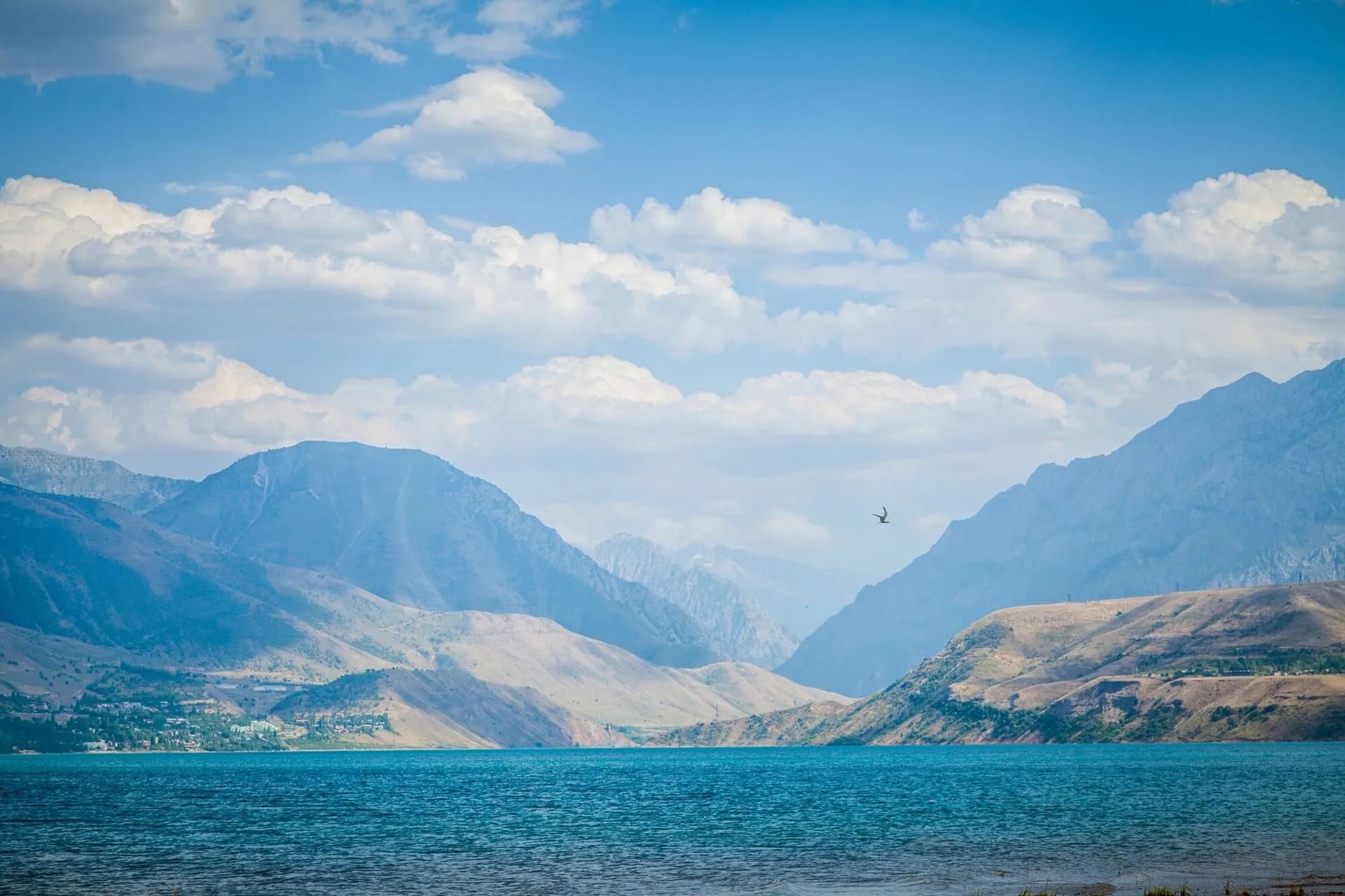 charvak.uz header
