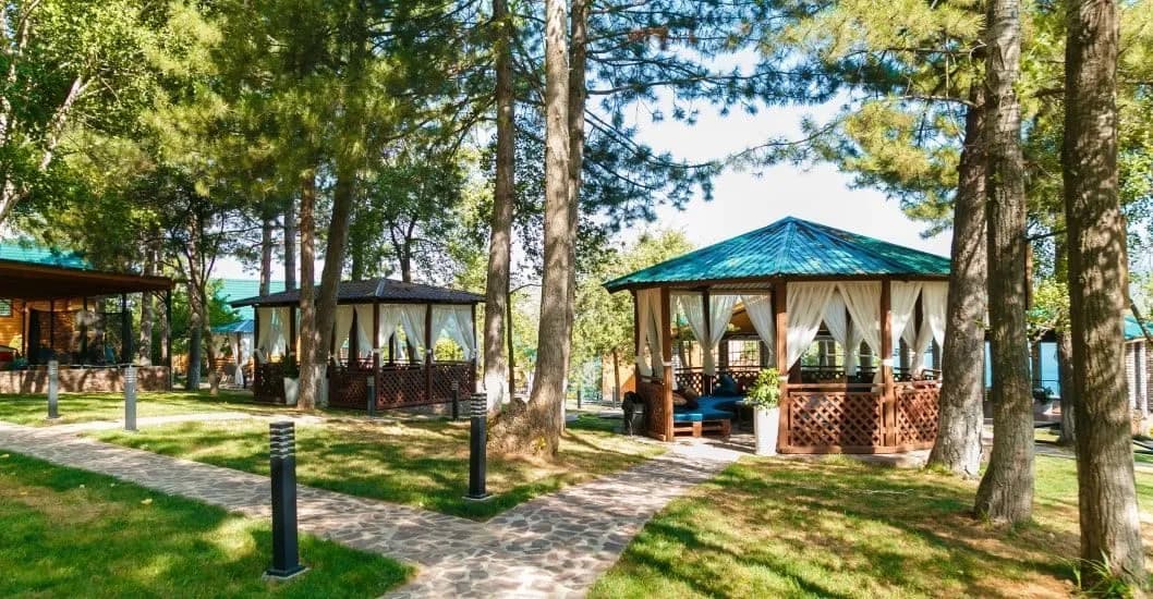 Крокус Парк
